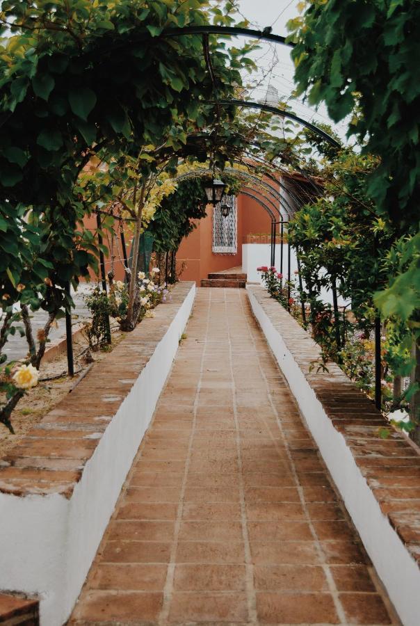 Quinta De Sao Pedro De Tomar Βίλα Εξωτερικό φωτογραφία