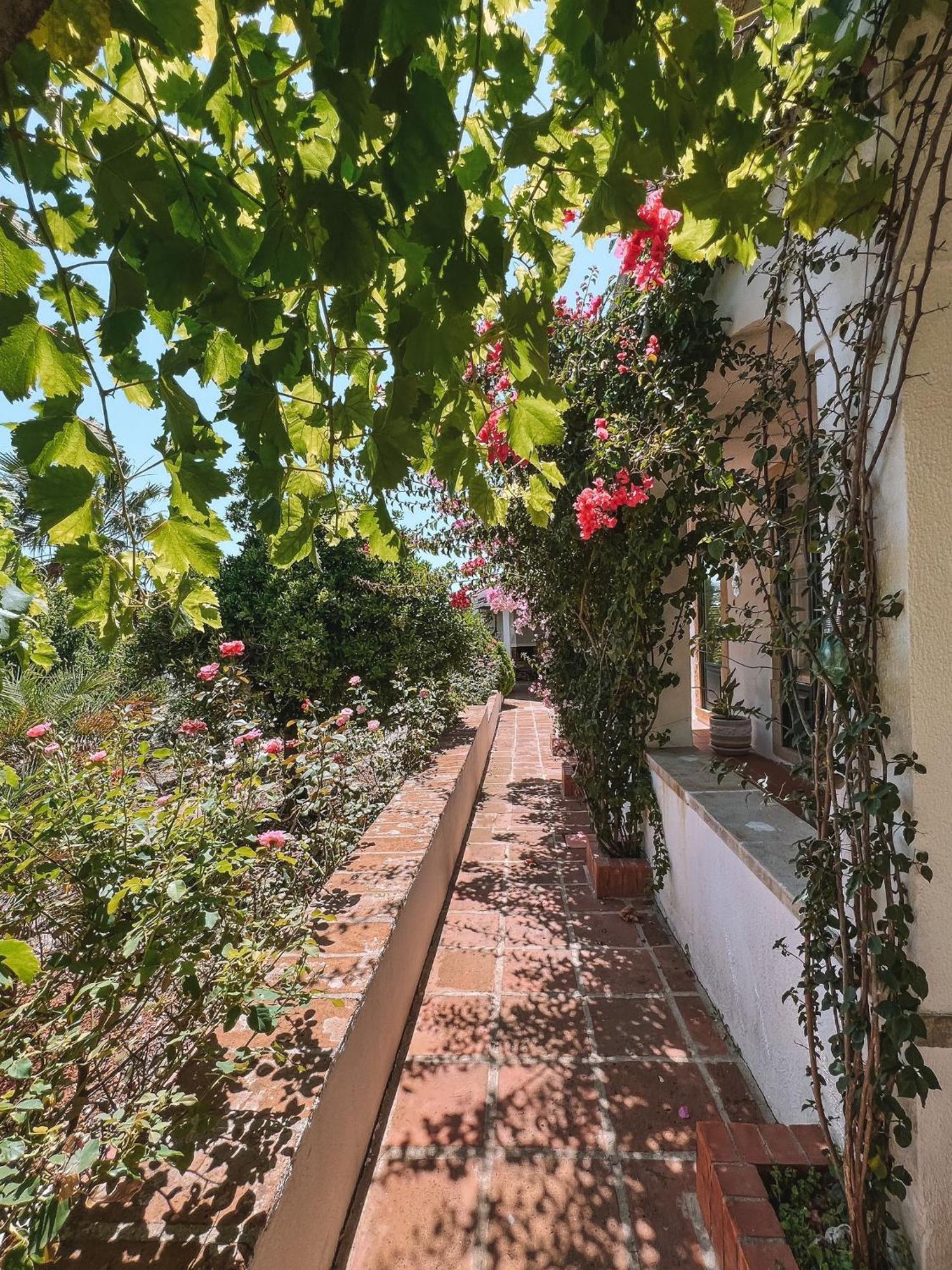 Quinta De Sao Pedro De Tomar Βίλα Εξωτερικό φωτογραφία